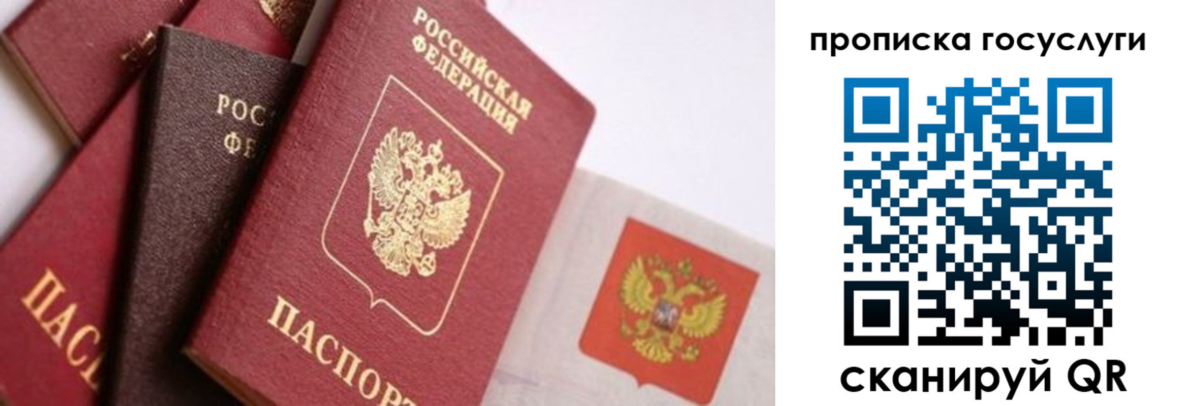 прописка законно в Аткарске